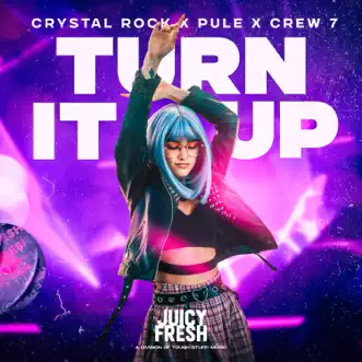 Turn It Up - Single by Crystal Rock, Pule & Crew 7 album reviews, ratings, credits