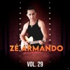 Zé Armando, Vol. 29, 2017