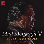 Blues in My Shoes - Single