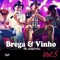 Seca - Forrozão Brega E Vinho lyrics