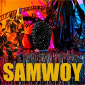 SAMWOY - Sbwriel