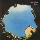Grey Matter - Do It Yourself (Or Don't)
