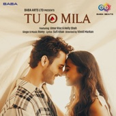 Tu Jo Mila artwork