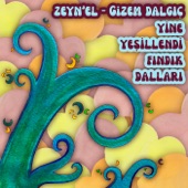 Yine Yeşillendi Fındık Dalları (Akustik) artwork