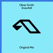 Snowfall (Extended Mix) artwork