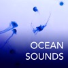 Ocean Sounds - Top 30 Relaxing Music Collection, Calm Sea & Ocean Sound with Instrumental Background