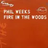 Fire in the Wood album lyrics, reviews, download