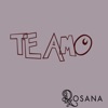 Te Amo - Single