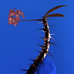 Skin Companion EP II - Flume