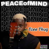 PEACEofMIND artwork