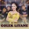 Golek Liyane - Single