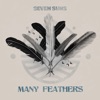 Many Feathers - Single