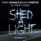 Shed a Light (Acoustic Version) - Robin Schulz, David Guetta & Cheat Codes lyrics