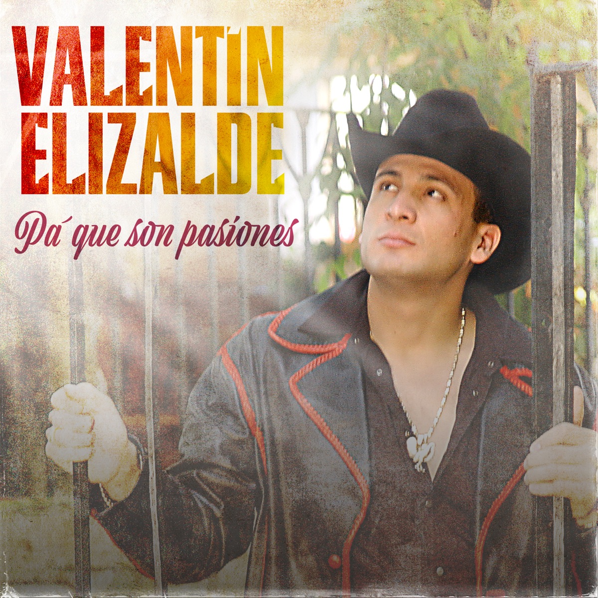 17 Éxitos en Honor a Mi Padre de Valentín Elizalde en Apple Music