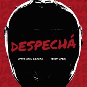 DESPECHÁ artwork