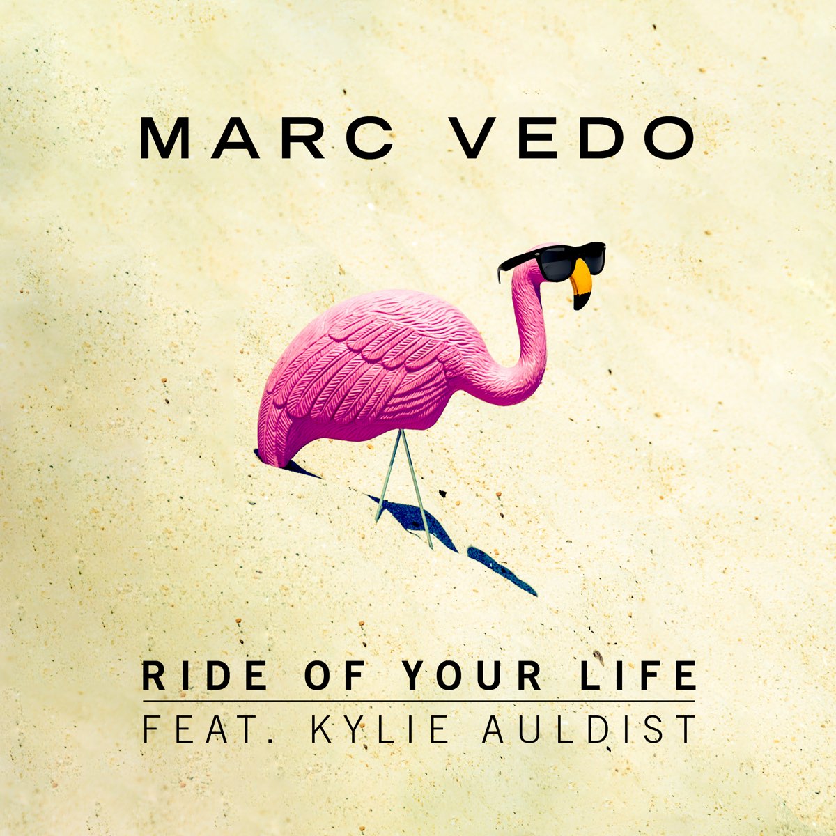 Life feat. Kylie Auldist 2+1. Ride your Life. The Ride of your Life группа. Your Ride your Ride песня.