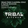 Missing (Sean Finn Mix) - Single album lyrics, reviews, download