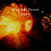 Magical Forest Music artwork