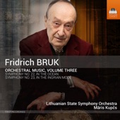 Fridrich Bruk: Orchestral Music, Vol. 3 artwork