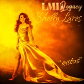 Lmd Legacy Éxitos artwork