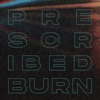 Prescribed Burn - Single