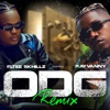 ODG (Remix) [feat. Rayvanny] - Single, 2022