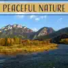 Peaceful Nature – Relaxing Sounds of Nature, Sounds of Rain, Sounds of Forest, Ambient Music, Zen Meditation, Yoga Relaxation album lyrics, reviews, download