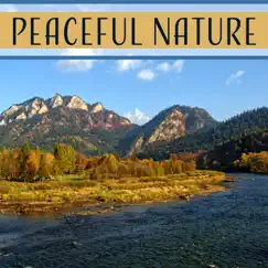 Peaceful Nature – Relaxing Sounds of Nature, Sounds of Rain, Sounds of Forest, Ambient Music, Zen Meditation, Yoga Relaxation by Nature Sounds Paradise album reviews, ratings, credits