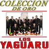 Colección De Oro