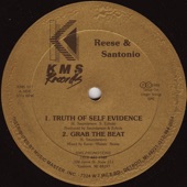 Truth of Self Evidence (Extended Mix) artwork