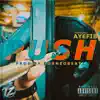 Push (feat. AyeFib) - Single album lyrics, reviews, download