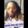 Born Free Die Free (feat. Youngen) - Single album lyrics, reviews, download