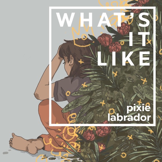 Cover artwork for What's It Like