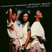 The Pointer Sisters - Jump (For My Love) - 12" Instrumental Mix