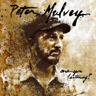 The Song After the Last Song by Peter Mulvey song reviws