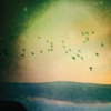 Man Watching the Stars - Rime of the Bloodsand Pyre