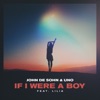 If I Were a Boy (feat. LILIA) - Single