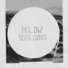 Silver Linings (Deluxe Edition)