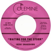 Ikebe Shakedown - Waiting For the Storm