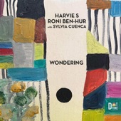 Wondering (feat. Sylvia Cuenca) (feat. Sylvia Cuenca) artwork
