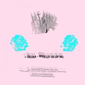 Never Let Go (Of Me) [Sped Up Extended Version] artwork