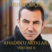 Anadolu Aryaları Vol. II artwork