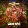 Stream & download Wild One - Single