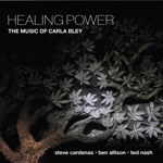 Steve Cardenas, Ben Allison & Ted Nash - Healing Power