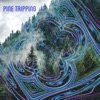 Pine Tripping - EP