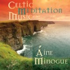 Celtic Meditation Music, 2004