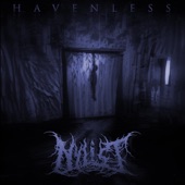 Havenless (feat. Dustin Mitchell & Filth) artwork