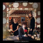 Space Exploration Disaster by Sunflower Bean