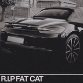 R.I.P. Fat Cat artwork