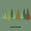 Relaxing Nature Sounds: Forest and Brown Noise, Loopable album lyrics, reviews, download